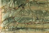 Polished Cherry Creek Jasper - China #326031-1
